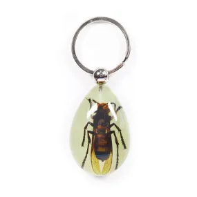 YK611<br />Yellow Jacket Wasp